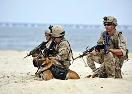 A SEAL platoon performs a land warfare demonstration.