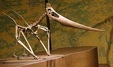 Grounded Pteranodon.jpg