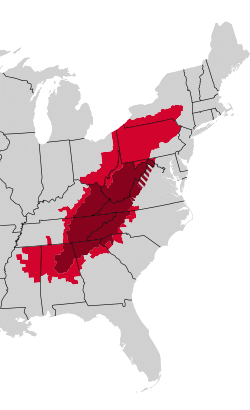 Red and dark red counties form the Appalachian Regional Commission; dark red and dark red striped counties form traditional Appalachia.[2]