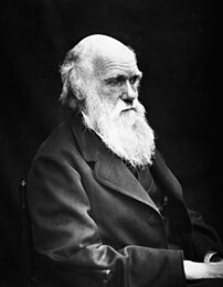 Charles Darwin (evolutietheorie)