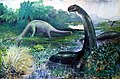 Illustration of Brontosaurus in the water, and Diplodocus on land
