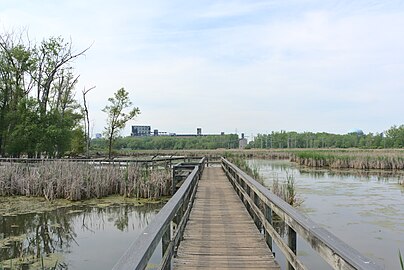 Boardwalk trail across water