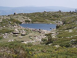 Laguna Chica de Peñalara