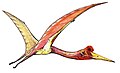 Quetzalcoatlus (Pterosauria)