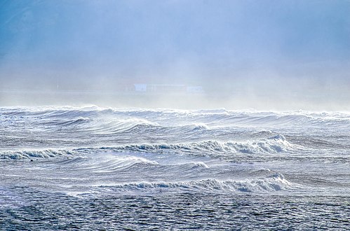 Sea spray containing marine microorganisms can be swept high into the atmosphere and may travel the globe as aeroplankton before falling back to earth.