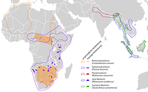 Arealo de vivantaj rinoceroj en Sud-Afriko, Centra Afriko, kaj Azio, nuntempa kaj historia; prahistorie rinoceroj estis disvastiĝintaj tra Eŭrazio, Afriko, kaj Norda Ameriko