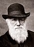 Чарлз Дарвін, фотографія 1881 р.