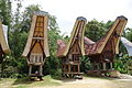 Image 31Tana Toraja in South Sulawesi, one of Destination Management Organization in Indonesia (from Tourism in Indonesia)