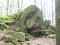 Giant tortoise gneiss rocks (Böllstein)