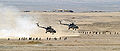 مروحيتان مي-8 مصريتان تحلقان بعد إنزال جنود في تدريب عسكري خلال مناورات النجم الساطع 01/02.