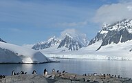 Doumer Island and Penguins.jpg