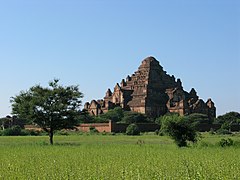 The Dhammayangyi