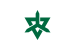 هيغاشيماتسوياما (سايتاما)