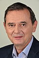 Marian-Jean Marinescu, politician român