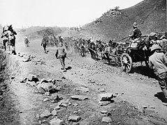 British mule train during the Second Anglo-Boer War in South Africa