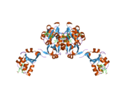 1u9m: Crystal structure of F58W mutant of cytochrome b5