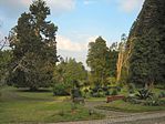 Botanical garden - Cibodas - Indonesia 4.jpg