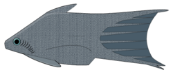 Furcacauda heintzae