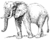 African elephant (PSF).png