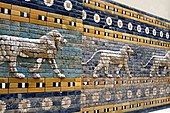 Striding lions from the Processional Street of Babylon.
