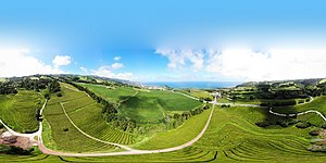 Os campos de té nos contrafortes de Gorreana, Illa de São Miguel, no arquipélago dos Azores de Portugal que se atopa no medio do océano Atlántico norte, a única rexión europea, á parte de Xeorxia, que sustenta a produción de té verde.