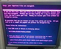 Petya's ransom note displayed on a compromised system
