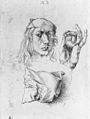 Dürer at about twenty, 1491–92, drawing, Metropolitan