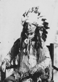 Potawatomi, porodica Algonquuian