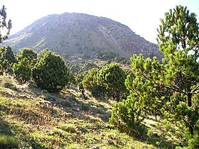 Вулкан Тахумулько (11 ноября 2006 г.).