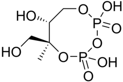 Skeletal formula of 2-C-methyl-D-erythritol-2,4-cyclodiphosphate