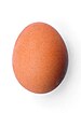 Chicken egg 2009-06-04.jpg