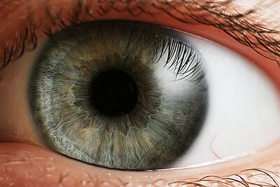 Cilvēka acs