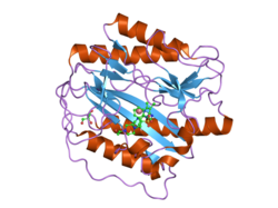 2g6p: Crystal structure of truncated (delta 1-89) human methionine aminopeptidase Type 1 in complex with Pyridyl pyrimidine derivative