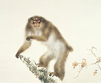 日本画『秋桜老猿』 作者：橋本関雪