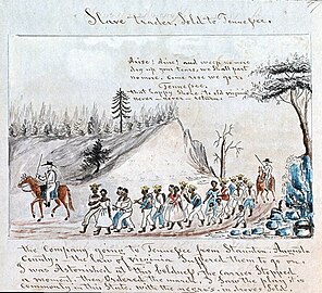 Slave trader, sold to Tennessee (watercolor image of overland coffle)