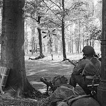 Three men in woods, two in the foreground one across a road in the distance.