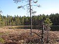 4. Su lagu kettle "Lapinkaivo" in su bidditzolu de Nummijärvi, Kauhajoki, in Finlàndia.