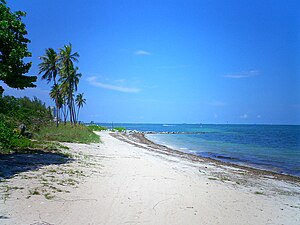 Virginia Key Beach in Miami in 2004