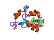 1sh4: Solution structure of oxidized bovine microsomal cytochrome B5 Mutant V45H