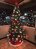 Christmas tree, Relish 2020.jpg