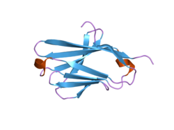 2frg: Structure of the immunoglobulin-like domain of human TLT-1