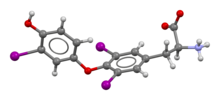 Triiodothyronine-T3-from-xtal-3D-bs-17.png