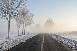 Poranna mgła zimą