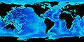 Okeanografija