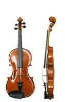 стандардна современа виолина прикажана од напред и од страна