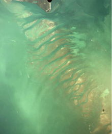 Aerial view of the Safety Valve shoals