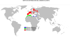 Distribución del género Eliomys.