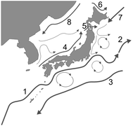 Схема морських течій навколо Японії