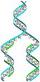 Image 47The replicator in virtually all known life is deoxyribonucleic acid. DNA is far more complex than the original replicator and its replication systems are highly elaborate. (from History of Earth)
