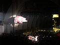 Свинья на концерте Роджера Уотерса в Голливуд-боул (5 октября 2006)